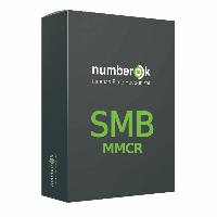 ПО распознаватель автомобильных номеров НомерОК SW NumberOk SMB MMCR 4