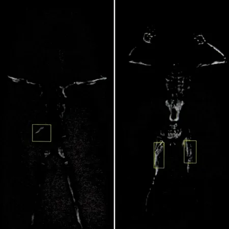 Досмотровый сканер Генезис МД-02А, мм-волновый Досмотровый сканер Генезис МД-02А, мм-волновый