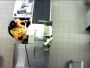 ПО Trassir People Counter Pro
