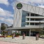 Блокиратор автоматический выдвижной Came TBD 220H800, 1 боллард
