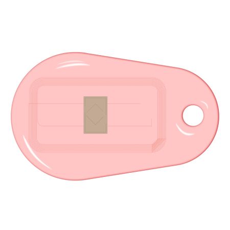 Бесконтактный RFID-брелок SMARTTAG Caramel с двойным чипом Mifare 1k + Em-Marine, прозрачный