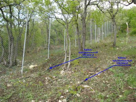 Периметровое радиоволновое средство обнаружения Трезор-R 02, двухканальный