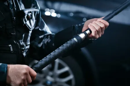 Досмотровая телевизионная система ИТТ Спрут Досмотровая телевизионная система ИТТ Спрут