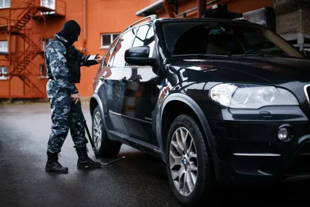 Досмотровая телевизионная система ИТТ Спрут Досмотровая телевизионная система ИТТ Спрут