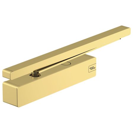 Доводчик дверной кулачковый dormakaba TS 98 XEA BC+DC EN 1-6, серый P600