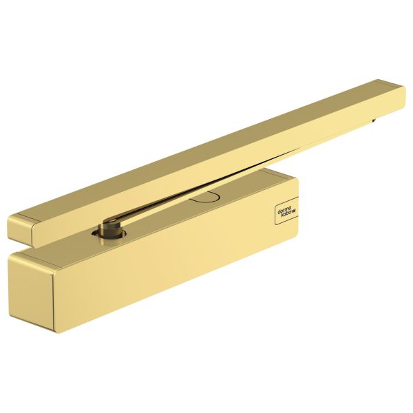 Доводчик дверной кулачковый dormakaba TS 98 XEA BC+DC EN 1-6, серый P600
